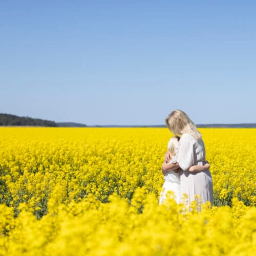 35-årsjubileum för Rapsodine