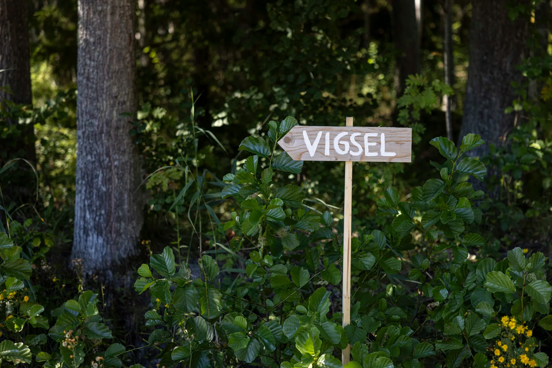 Brudpar Karin och Dennis 2025