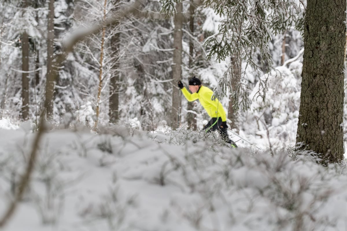 Vinterbilder 2015