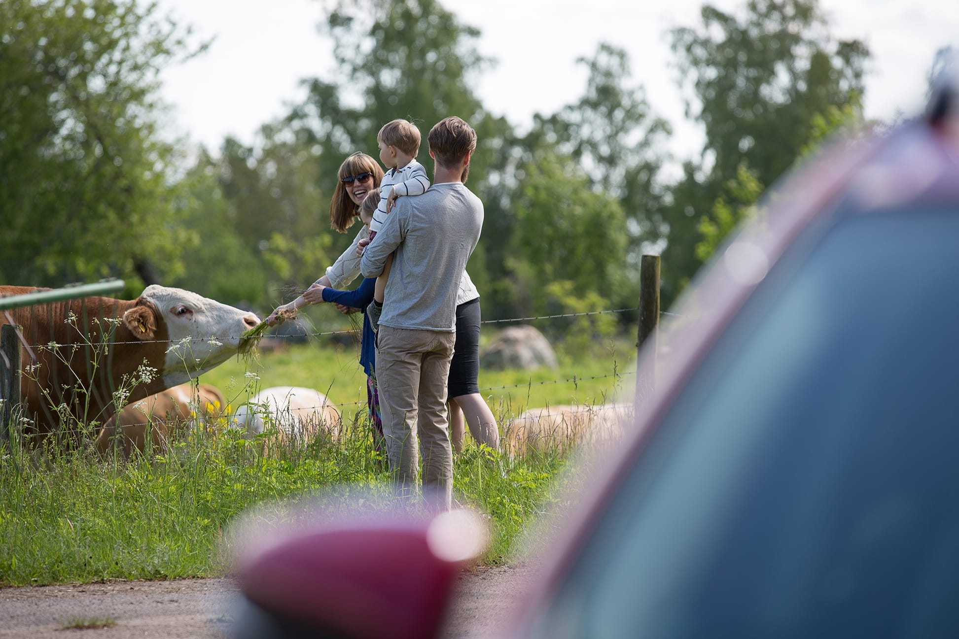 Motor Trend reklambilder familjebil