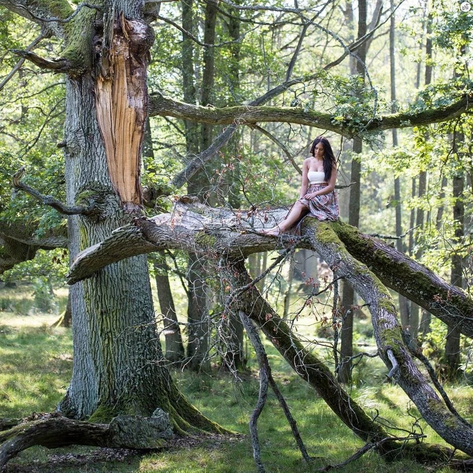 En återblick på året 2014