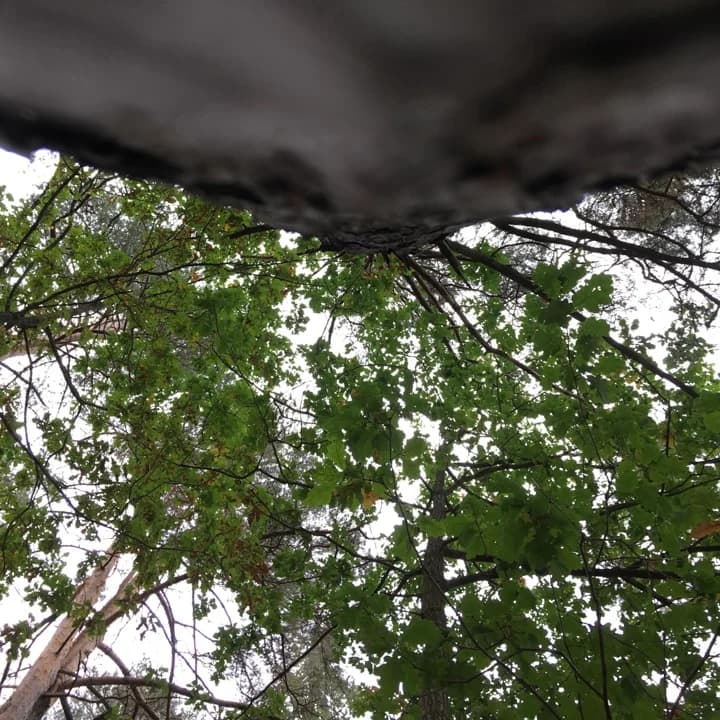 Skapande skola med Tuana