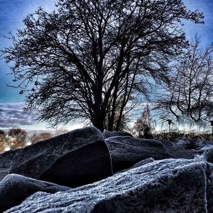 Skapande skola med Tuana