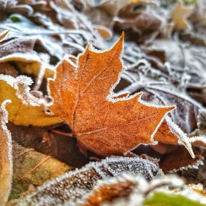 Skapande skola med Tuana
