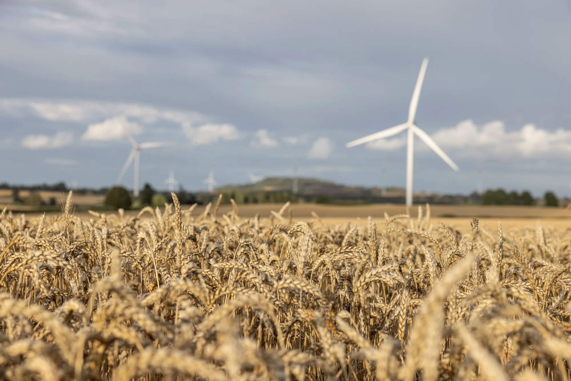 Platsvarumärke Falköping