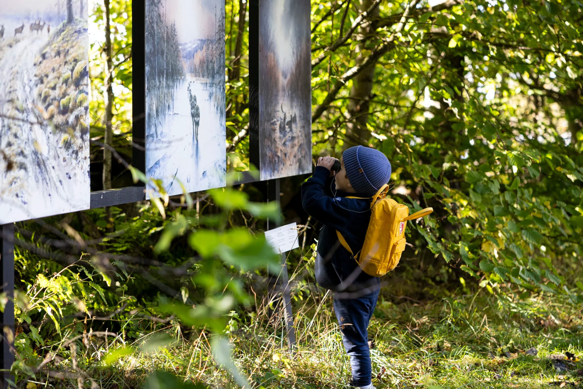 Platsvarumärke Falköping stadsbild